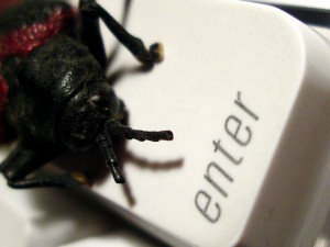 "bug" - sursa imaginii: sxc.hu